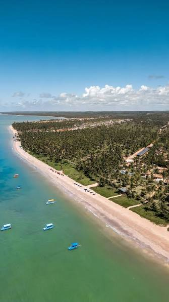 Vista aérea da Praia do Patacho, Alagoas, com coqueirais, mar cristalino e a orla preservada